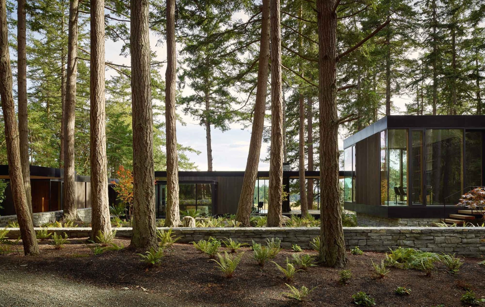 A timber pavilion set among ferns and a still pond in the forest