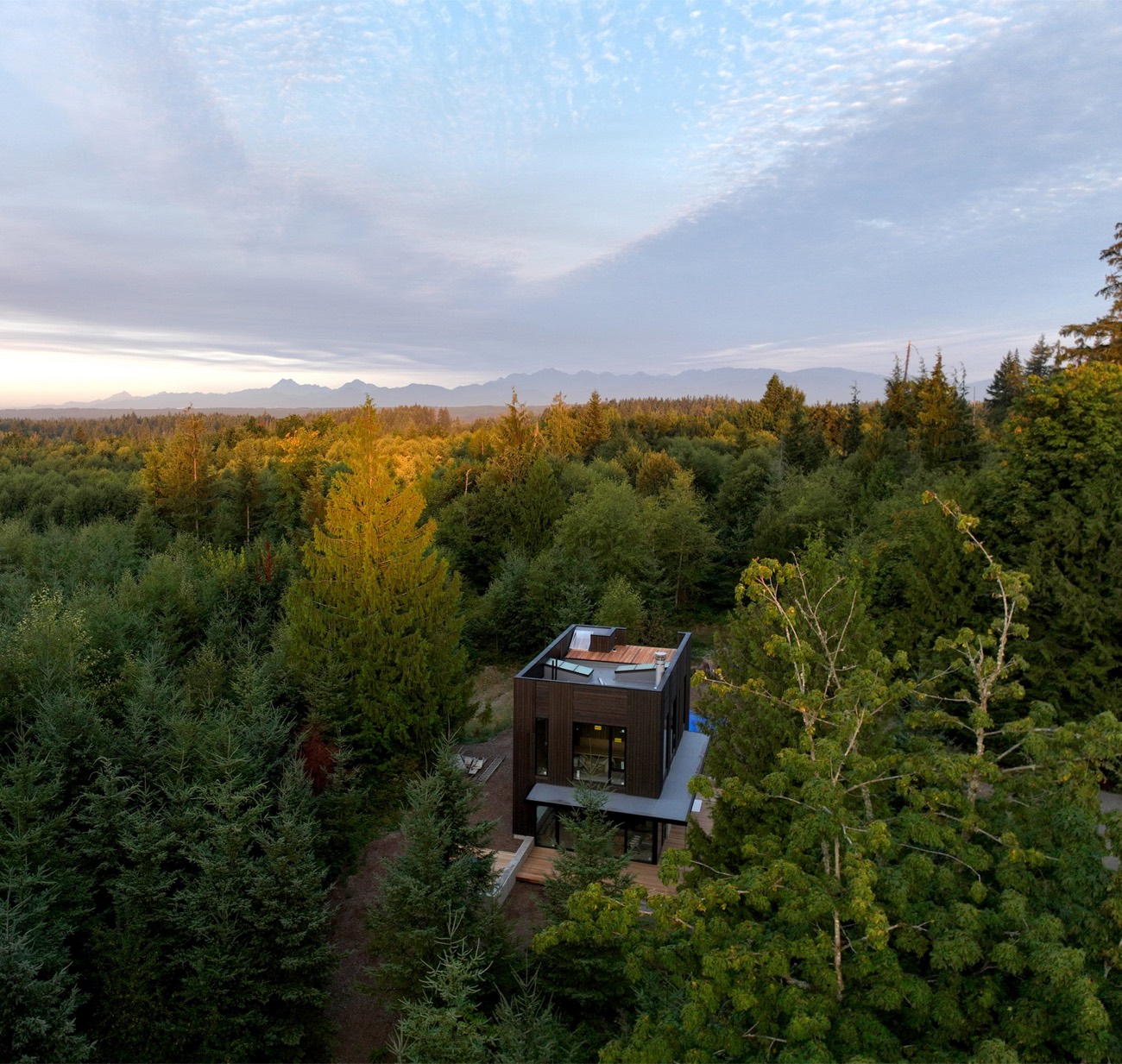 A dark timber cabin set deep in the woods